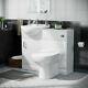 Cloakroom Basin Vanity Sink Unit & Back To Wall Toilet Wc En-suite Zebra